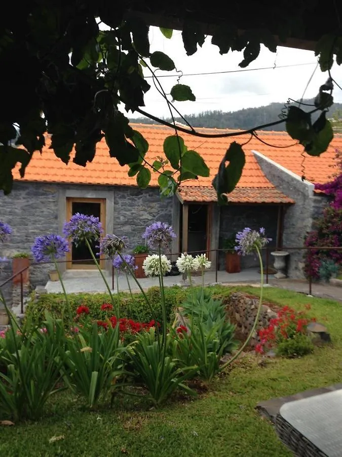 Casa Dos Gatos Vila Calheta  Calheta (Madeira)